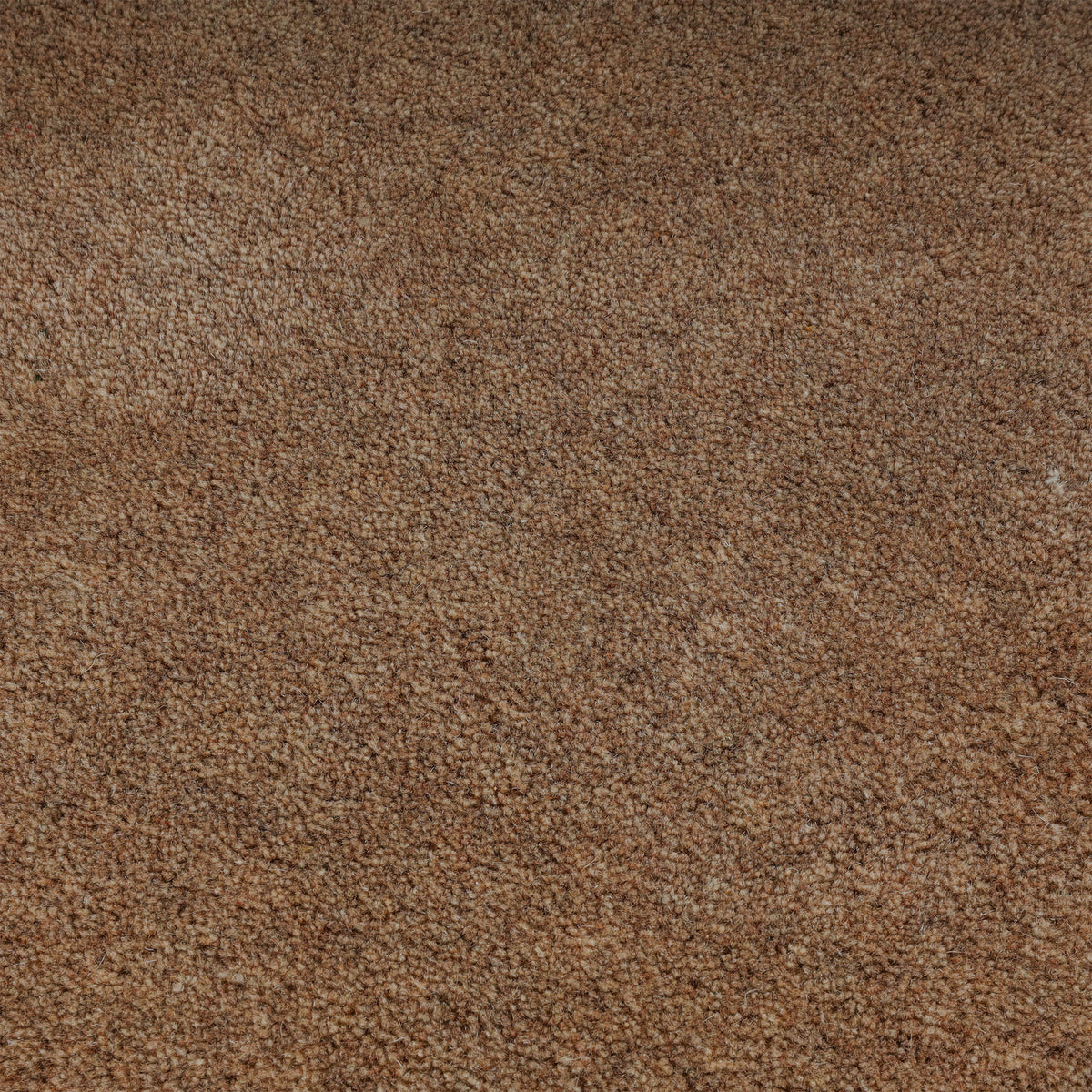 Wool rug - Isara Border Brown